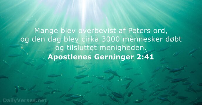 Mange blev overbevist af Peters ord, og den dag blev cirka 3000… Apostlenes Gerninger 2:41