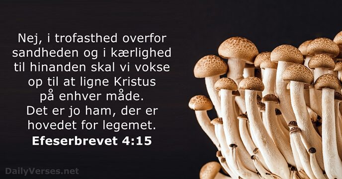 Efeserbrevet 4:15