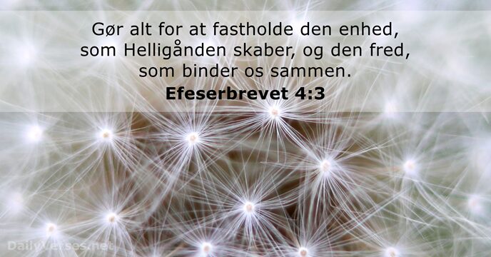 Efeserbrevet 4:3