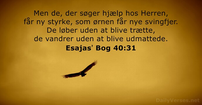 Men de, der søger hjælp hos Herren, får ny styrke, som ørnen… Esajasʼ Bog 40:31