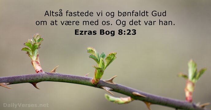 Ezras Bog 8:23