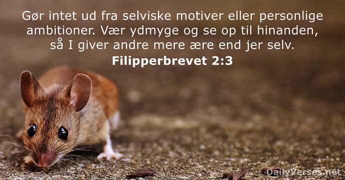Filipperbrevet 2:3
