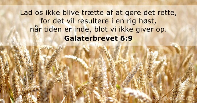 Galaterbrevet 6:9