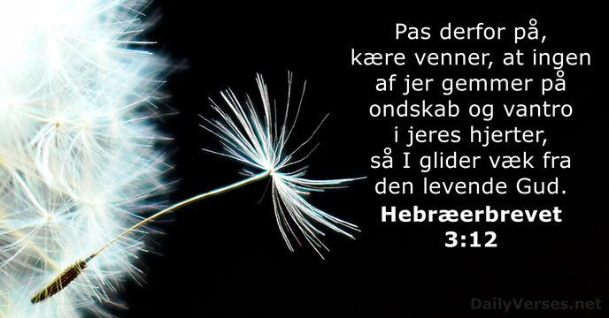 Hebræerbrevet 3:12