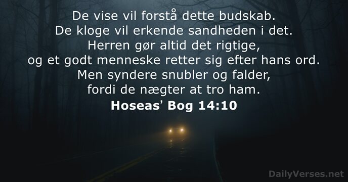 Hoseasʼ Bog 14:10