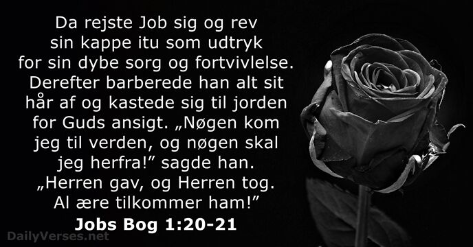 Jobs Bog 1:20-21
