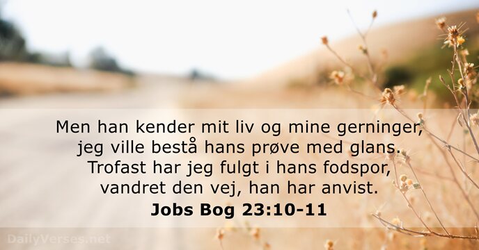 Men han kender mit liv og mine gerninger, jeg ville bestå hans… Jobs Bog 23:10-11