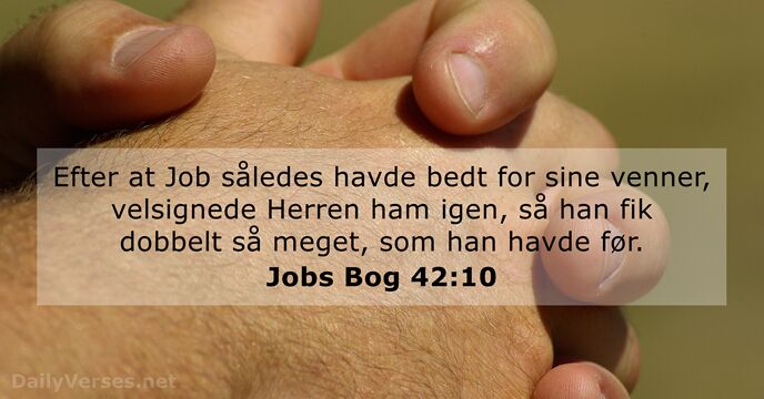 Jobs Bog 42:10