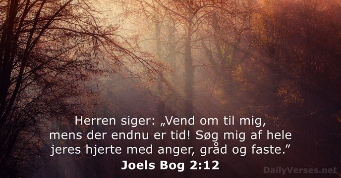 Joels Bog 2:12