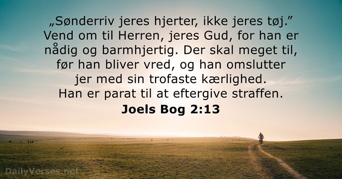 Joels Bog 2:13