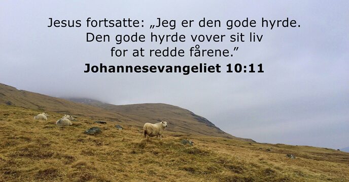 Johannesevangeliet 10:11