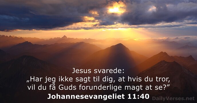 Jesus svarede: „Har jeg ikke sagt til dig, at hvis du tror… Johannesevangeliet 11:40