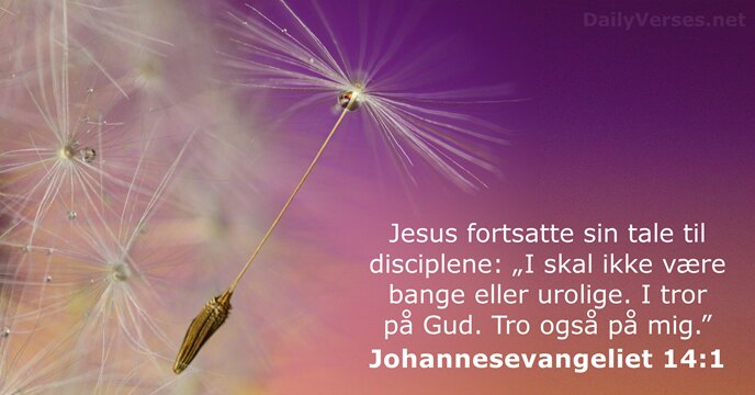 Jesus fortsatte sin tale til disciplene: „I skal ikke være bange eller… Johannesevangeliet 14:1