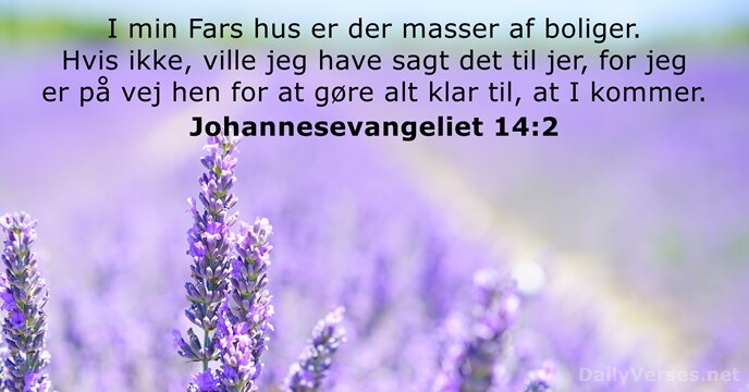 Johannesevangeliet 14:2