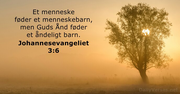 Johannesevangeliet 3:6