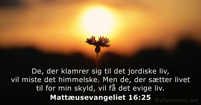 Mattæusevangeliet 16:25