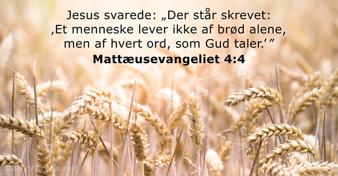 Jesus svarede: „Der står skrevet: ‚Et menneske lever ikke af brød alene… Mattæusevangeliet 4:4