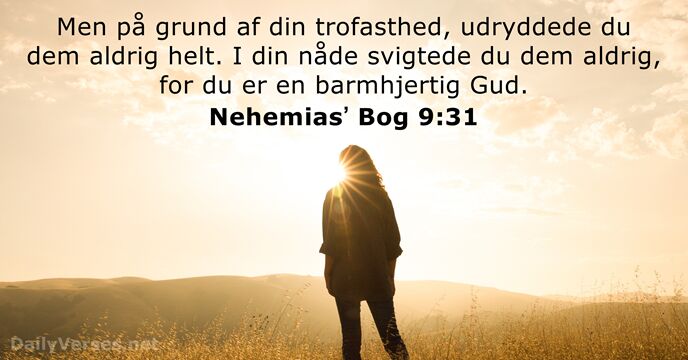 Nehemiasʼ Bog 9:31