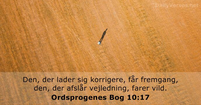 Ordsprogenes Bog 10:17