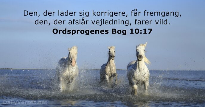 Ordsprogenes Bog 10:17