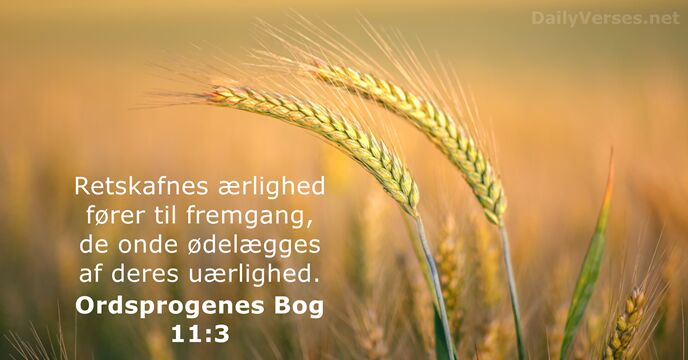 Ordsprogenes Bog 11:3