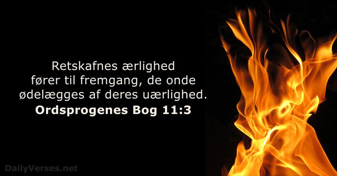 Ordsprogenes Bog 11:3