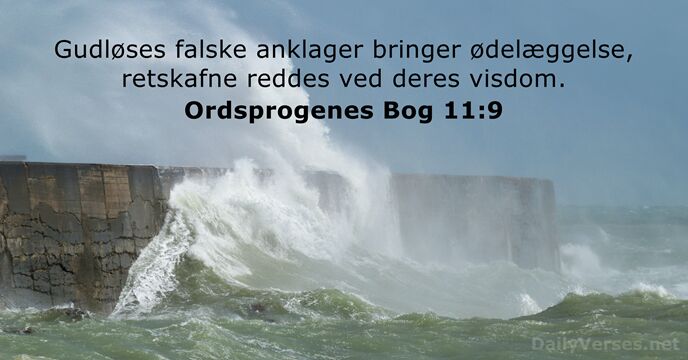 Ordsprogenes Bog 11:9