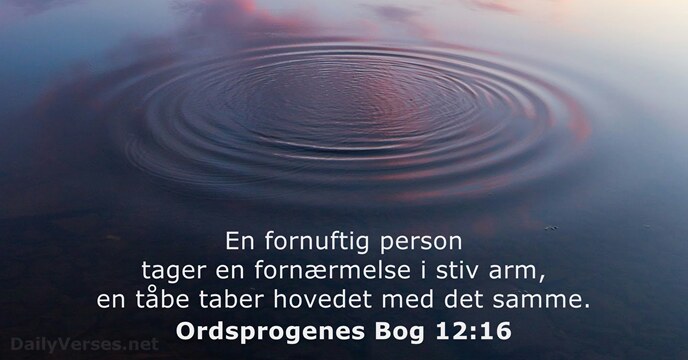 Ordsprogenes Bog 12:16