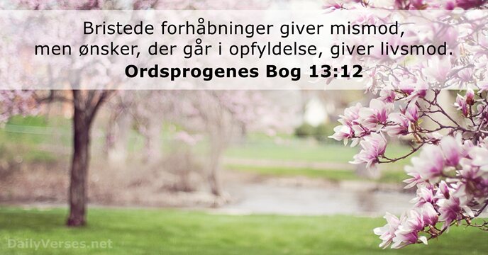 Ordsprogenes Bog 13:12