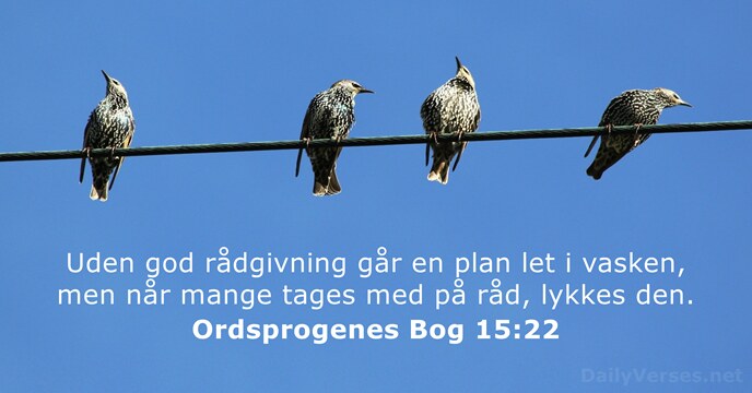 Ordsprogenes Bog 15:22
