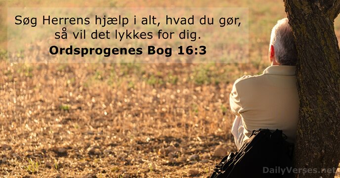 Søg Herrens hjælp i alt, hvad du gør, så vil det lykkes for dig. Ordsprogenes Bog 16:3