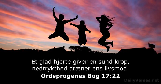 Ordsprogenes Bog 17:22