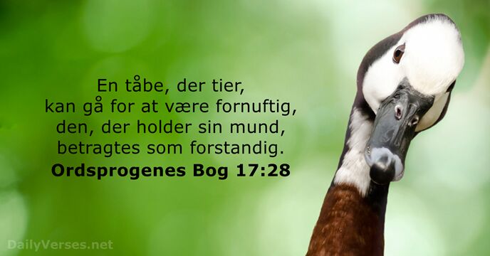 Ordsprogenes Bog 17:28