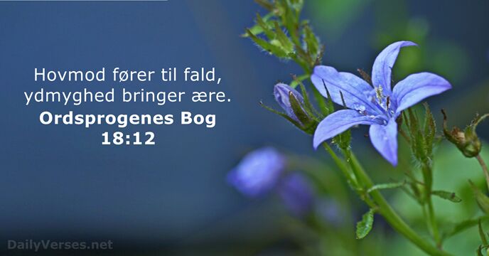 Ordsprogenes Bog 18:12