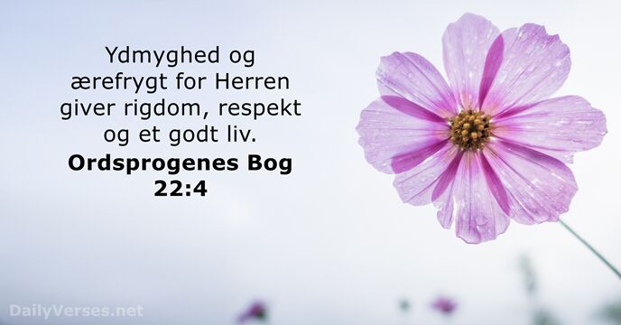 Ordsprogenes Bog 22:4