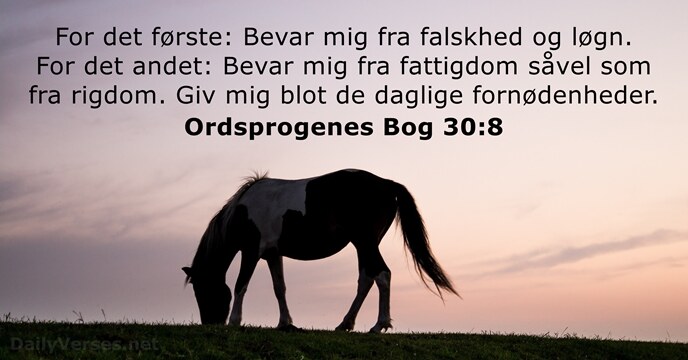 Ordsprogenes Bog 30:8