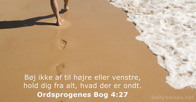 Ordsprogenes Bog 4:27