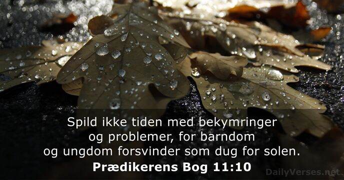 Prædikerens Bog 11:10