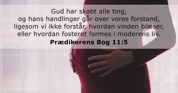 Prædikerens Bog 11:5
