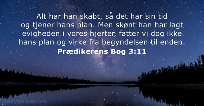 Prædikerens Bog 3:11