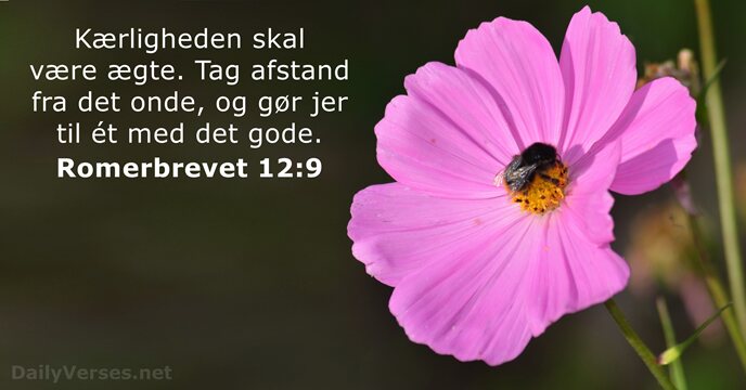 Romerbrevet 12:9