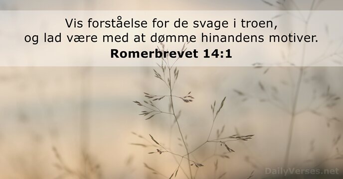 Romerbrevet 14:1