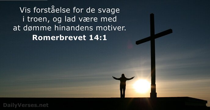 Romerbrevet 14:1