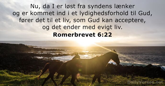 Romerbrevet 6:22