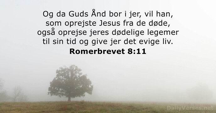 Romerbrevet 8:11