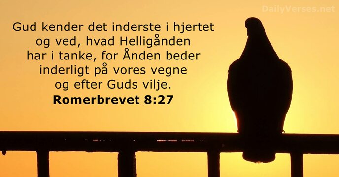 Romerbrevet 8:27