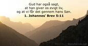 1. Johannesʼ Brev 5:11