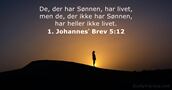 1. Johannesʼ Brev 5:12