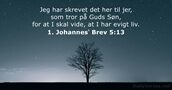 1. Johannesʼ Brev 5:13