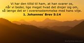 1. Johannesʼ Brev 5:14